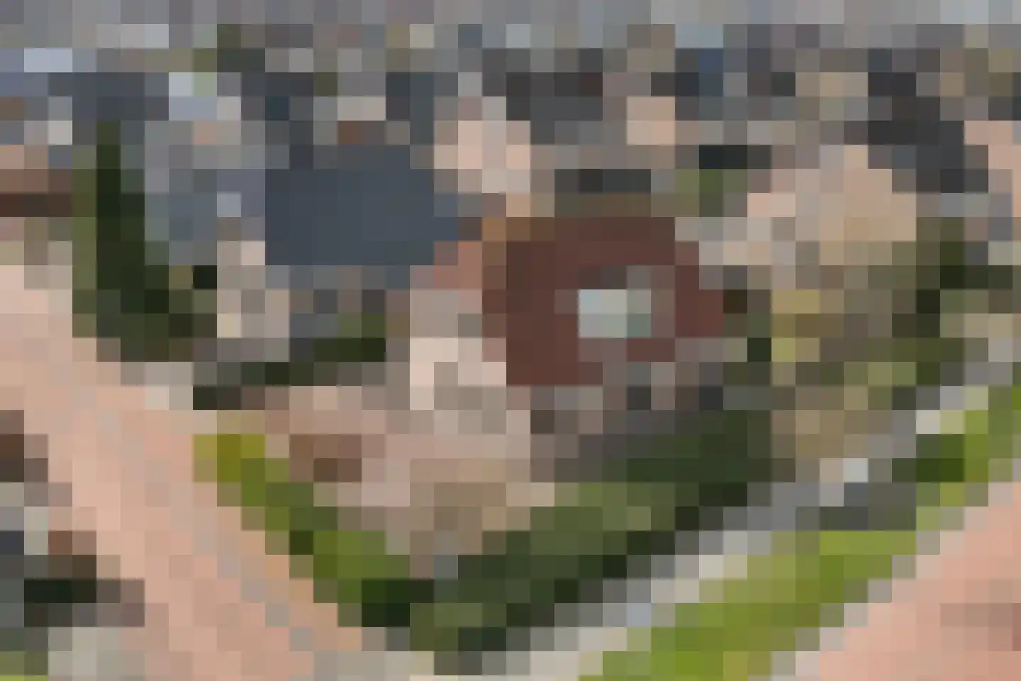Buitenbaardt 2 Lemmer thumbnail 28