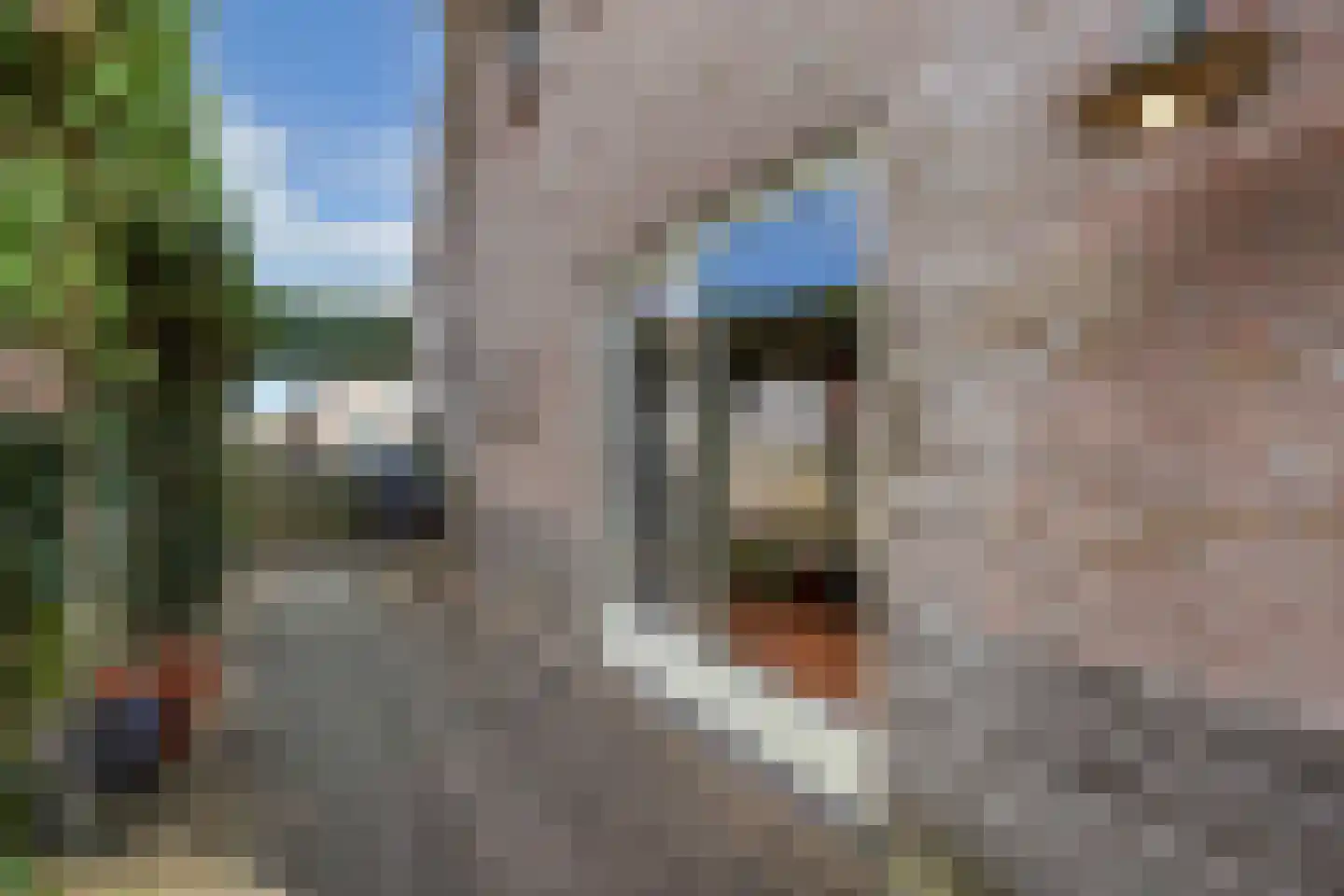 Buitenbaardt 2 Lemmer thumbnail 32