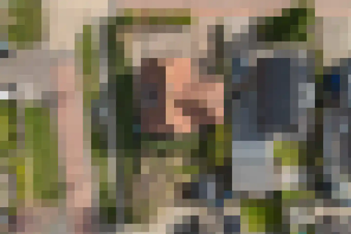 Buitenbaardt 2 Lemmer thumbnail 41