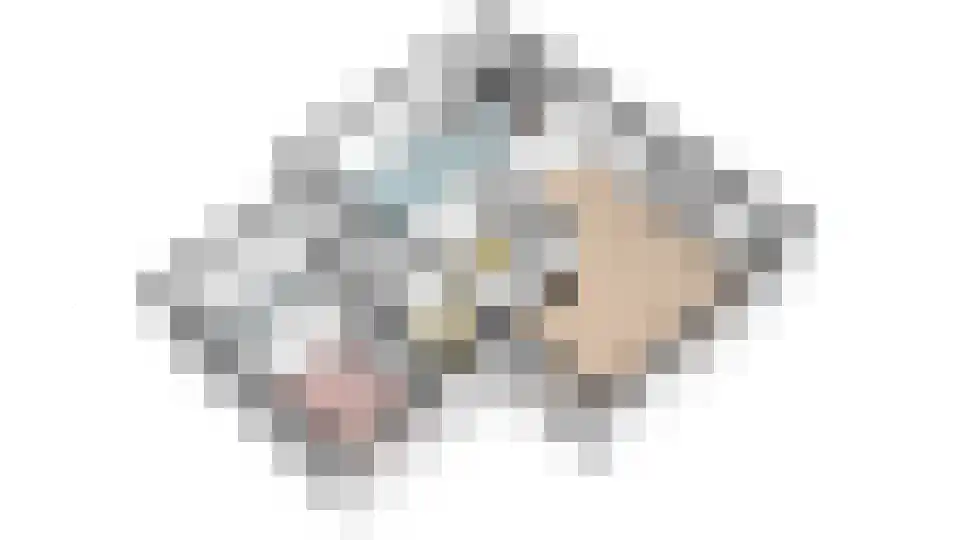 Buitenbaardt 2 Lemmer thumbnail 43
