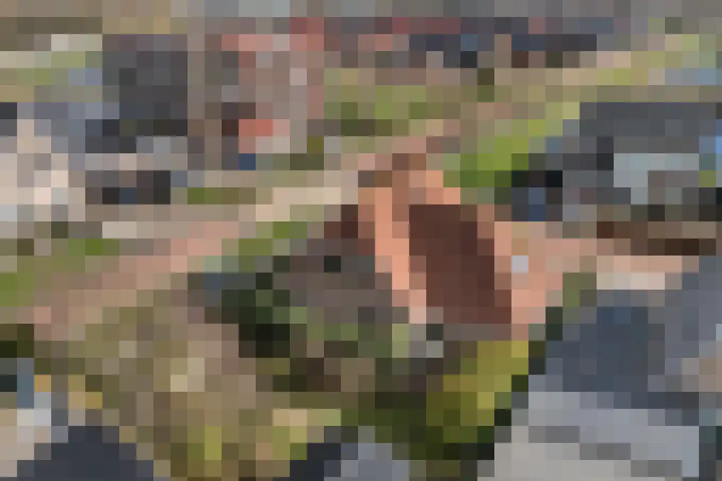 Buitenbaardt 2 Lemmer thumbnail 5