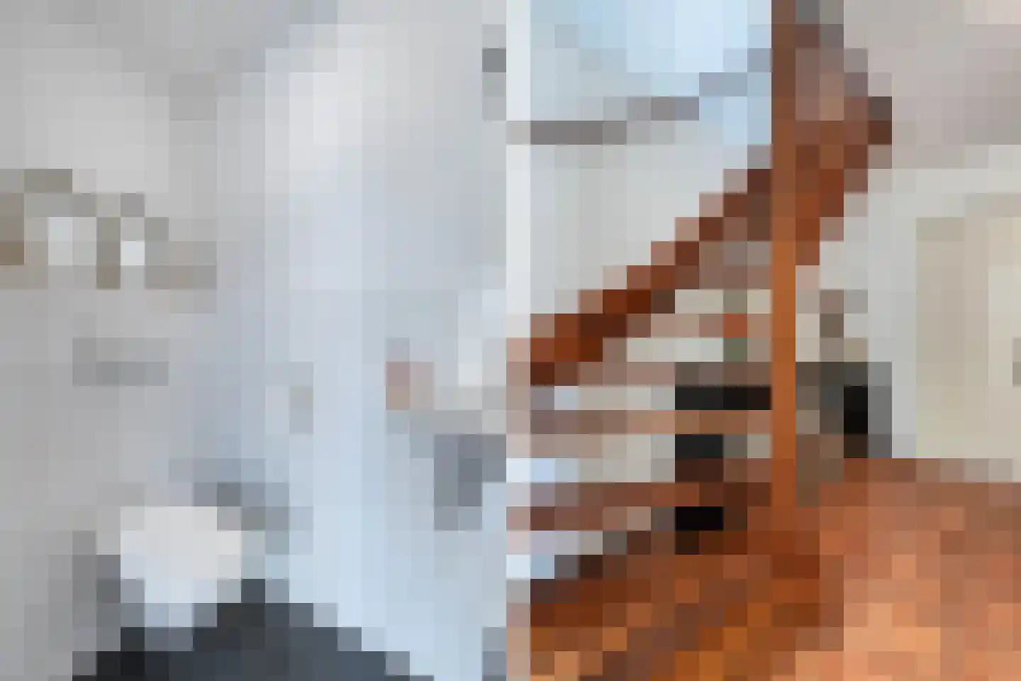 Buitenbaardt 2 Lemmer thumbnail 6