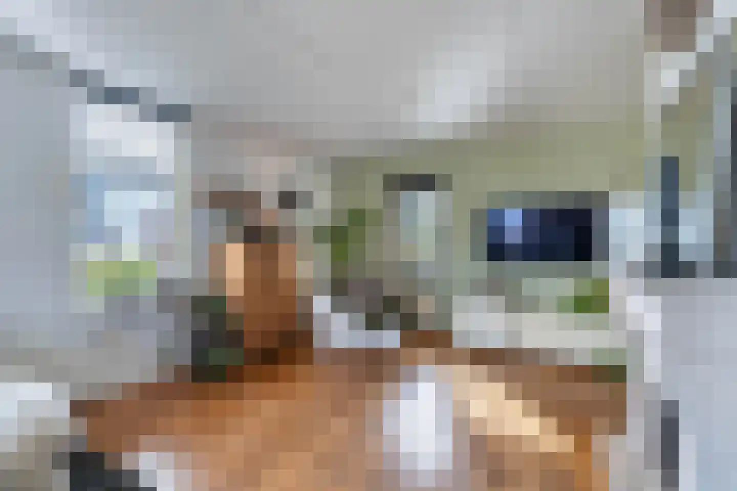 Buitenbaardt 2 Lemmer thumbnail 7