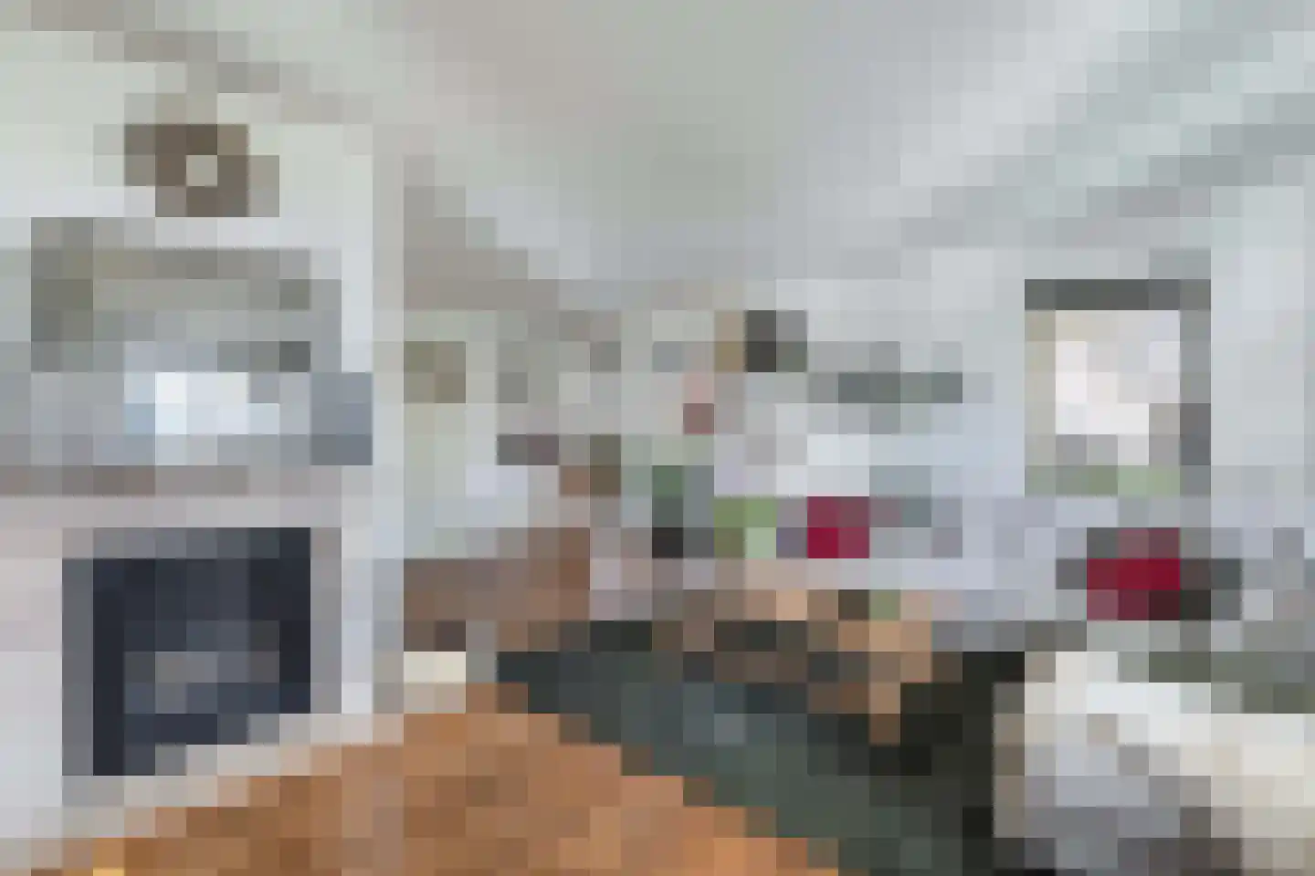 Buitenbaardt 2 Lemmer thumbnail 8