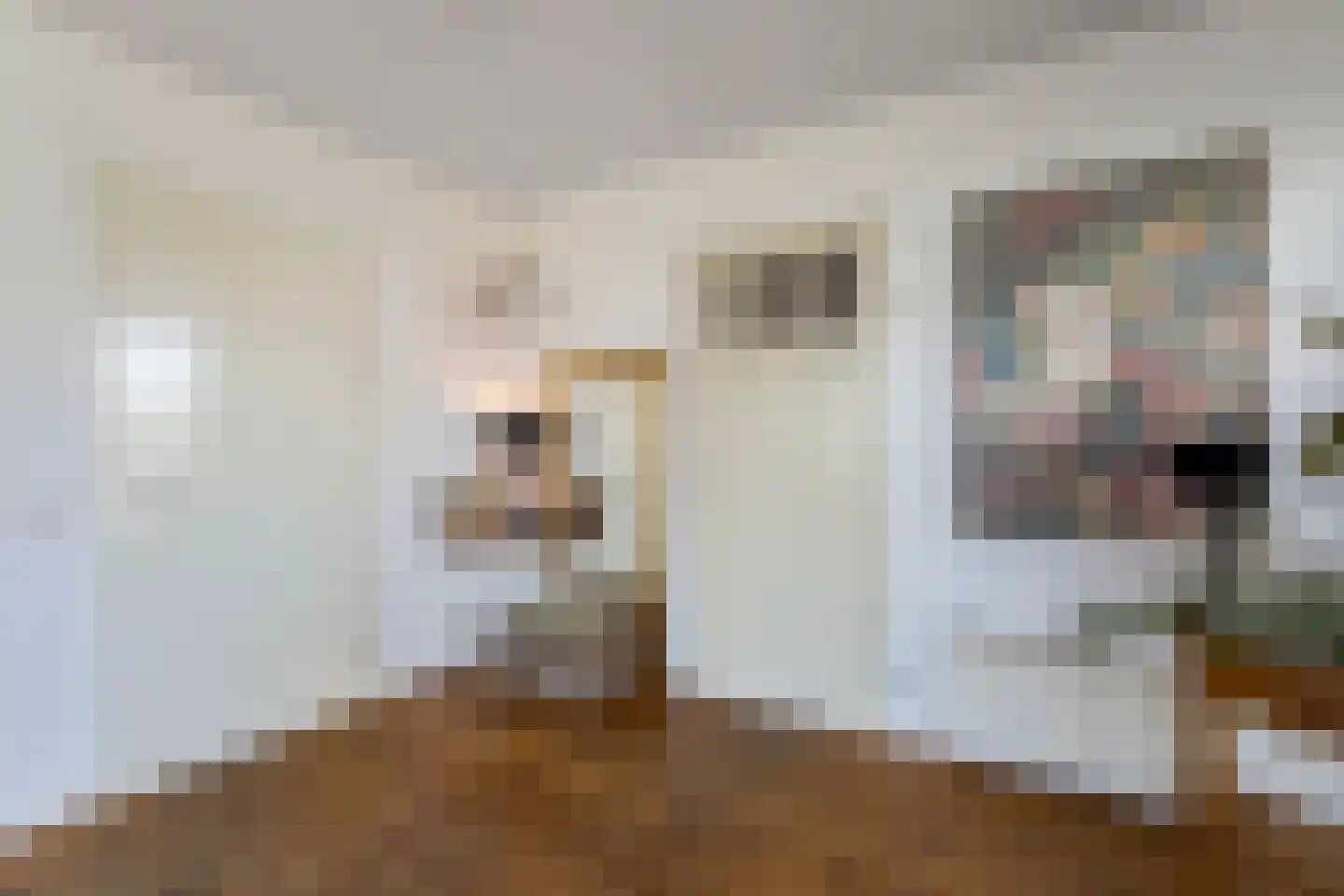 Buitenbaardt 2 Lemmer thumbnail 9