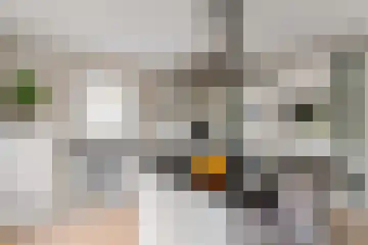 Buitenbaardt 23 Lemmer thumbnail 14