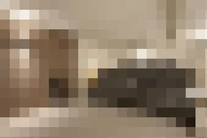 Buitenbaardt 23 Lemmer thumbnail 37