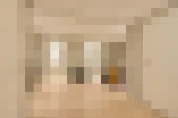 Buitenbaardt 23 Lemmer thumbnail 38