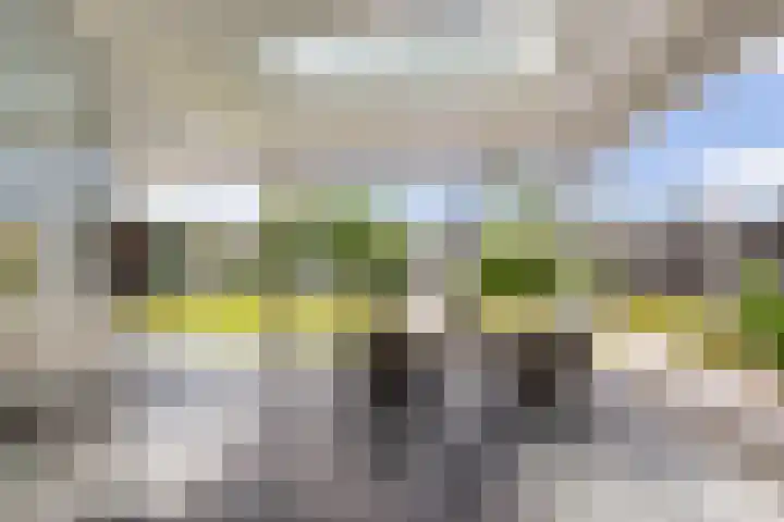 Buitenbaardt 23 Lemmer thumbnail 46