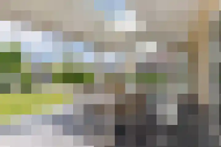 Buitenbaardt 23 Lemmer thumbnail 48