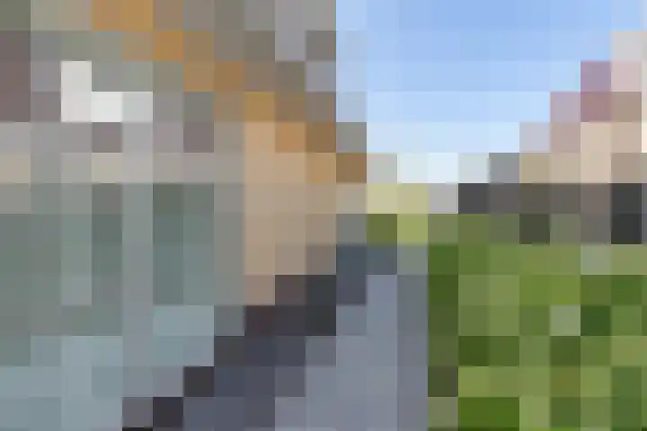 Buitenbaardt 23 Lemmer thumbnail 61