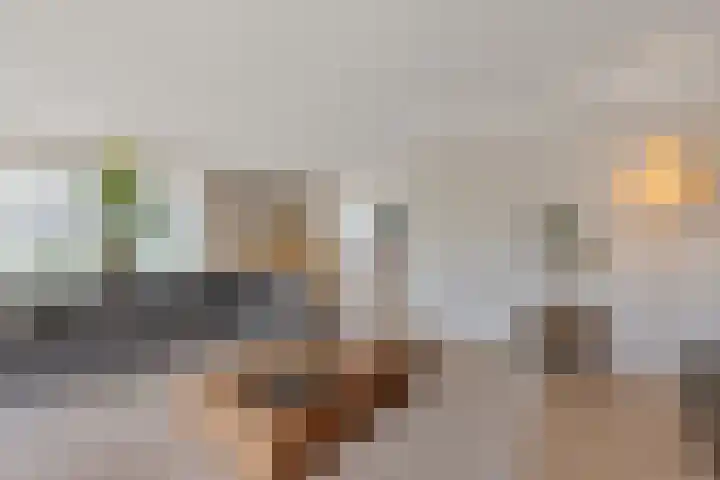 Buitenbaardt 23 Lemmer thumbnail 8
