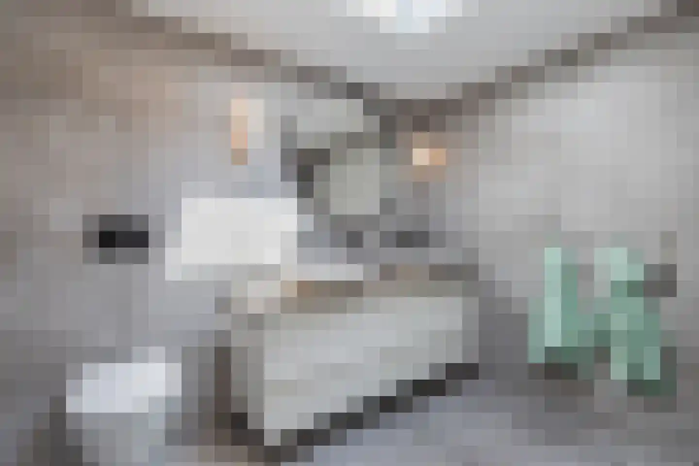 Buitenbaardt 29 Lemmer thumbnail 32