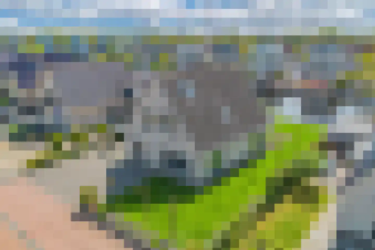Buitenbaardt 29 Lemmer thumbnail 6