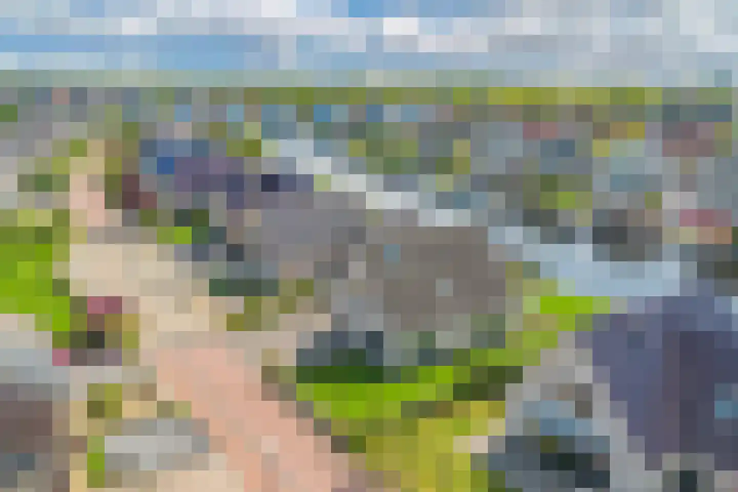 Buitenbaardt 29 Lemmer thumbnail 73
