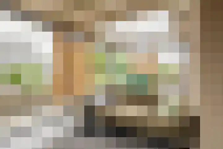 Buitenbaardt 5 Lemmer thumbnail 21
