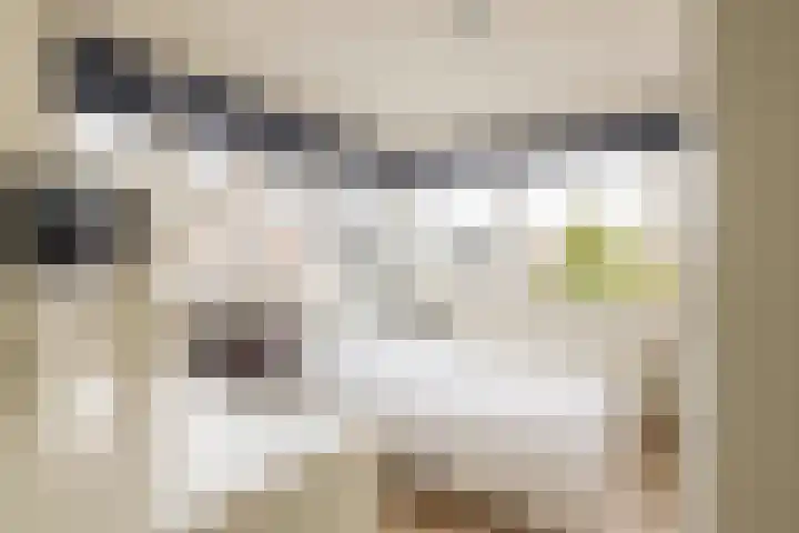 Buitenbaardt 5 Lemmer thumbnail 33