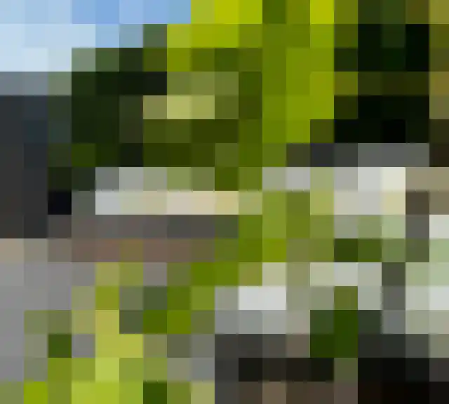 Buitenbaardt 5 Lemmer thumbnail 45