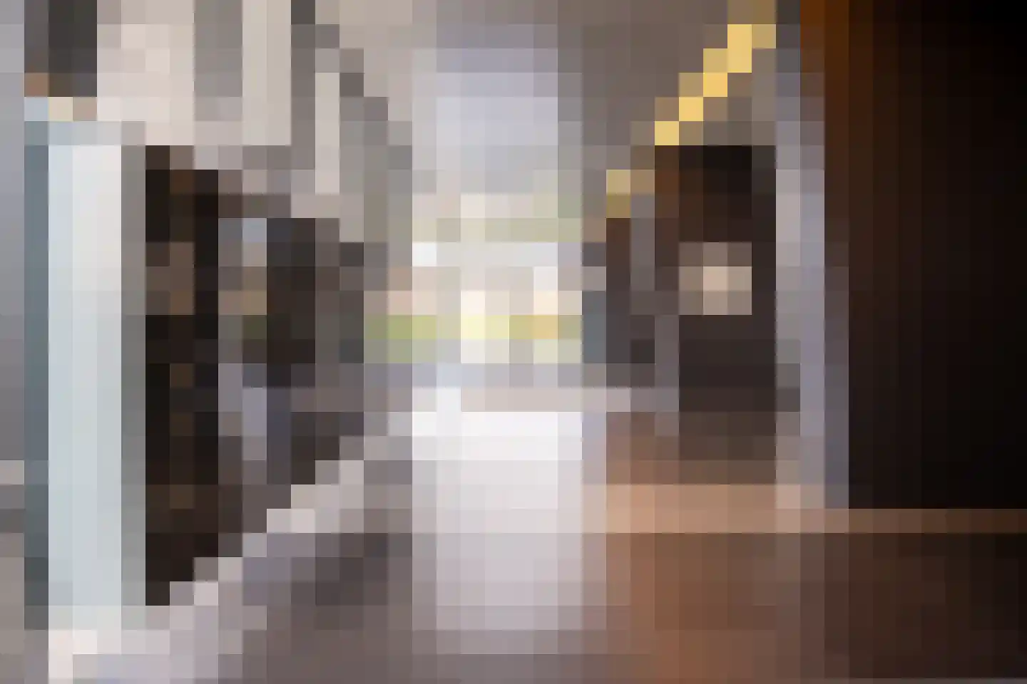 Buitenbassinweg 368 Rotterdam thumbnail 9