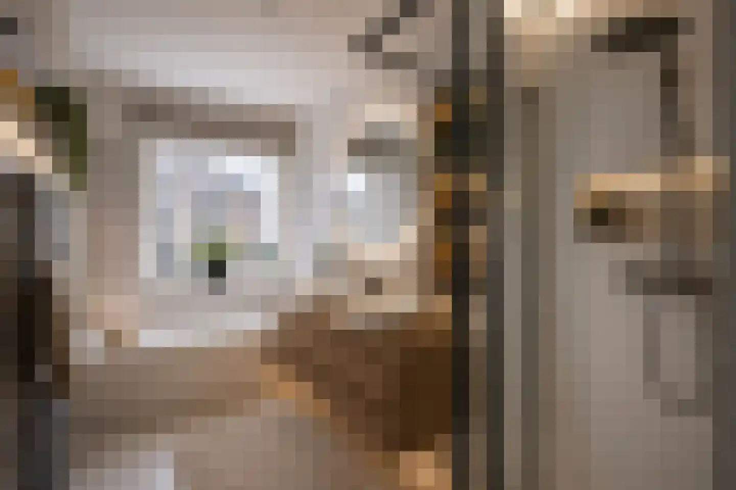 Buitenbassinweg 869 Rotterdam thumbnail 19