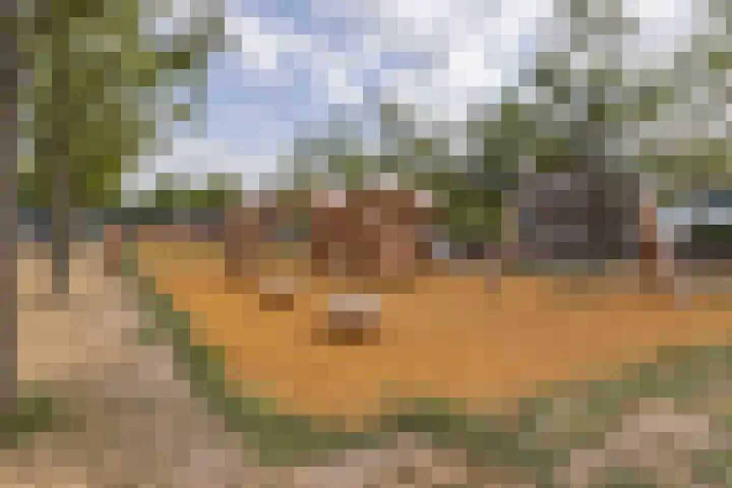 Buitenbassinweg 869 Rotterdam thumbnail 43