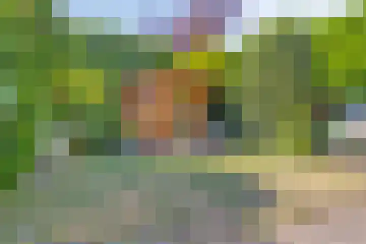 Buitenberg 3 Roosendaal thumbnail 24