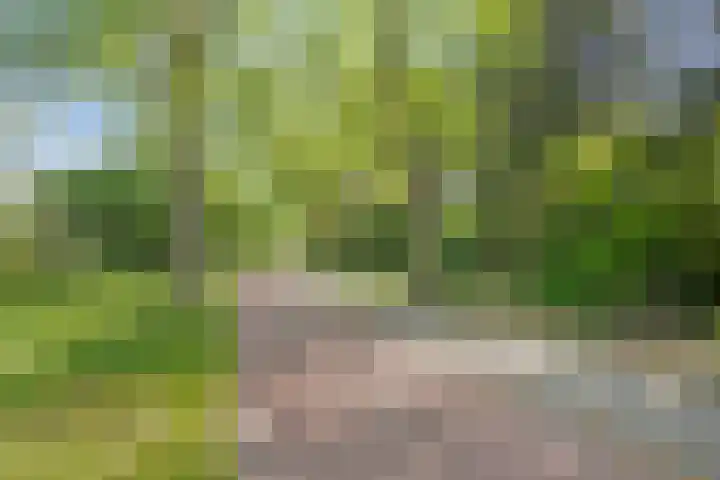 Buitenberg 3 Roosendaal thumbnail 31