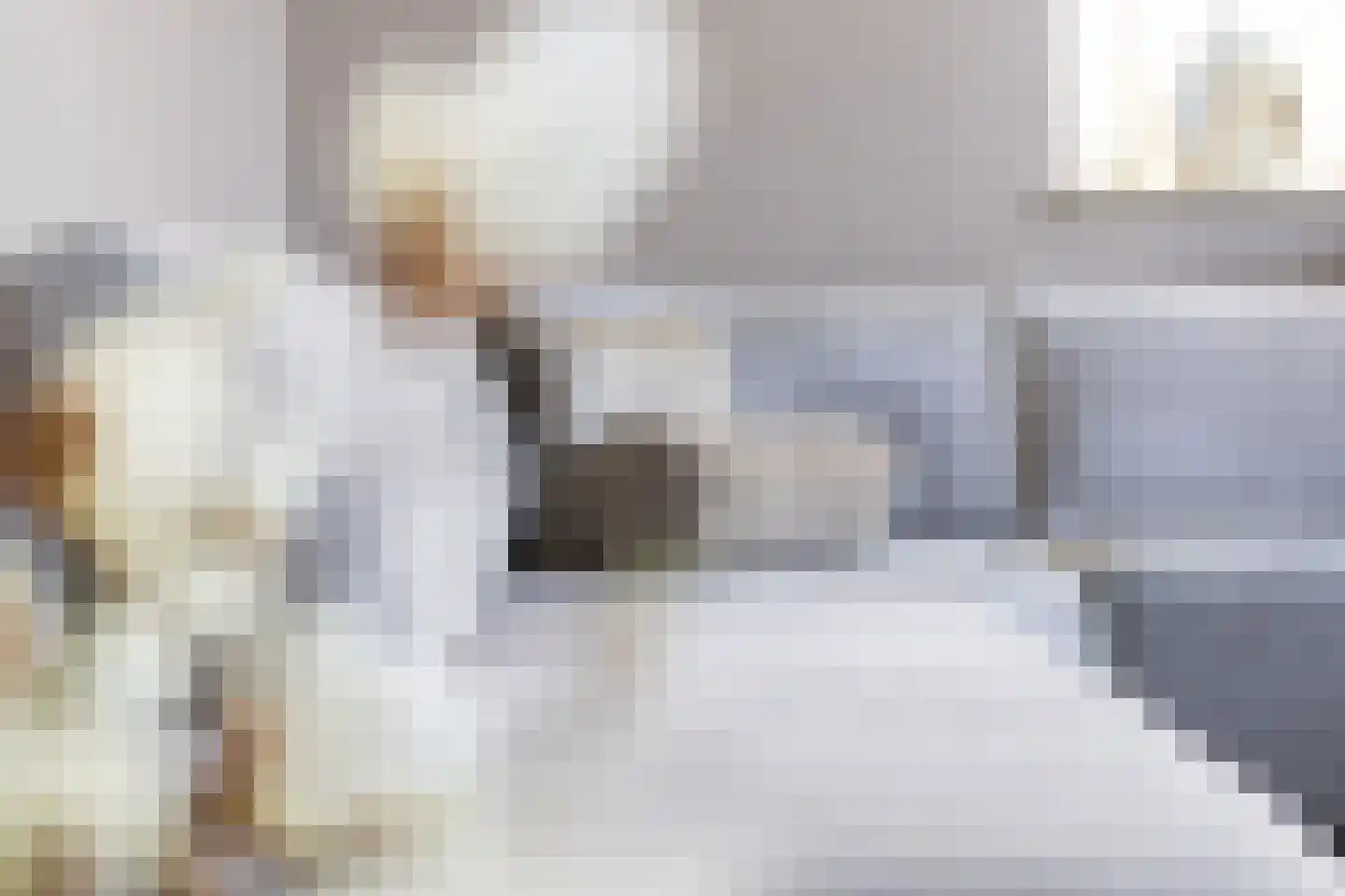 Buitenbos 1 Meteren thumbnail 13