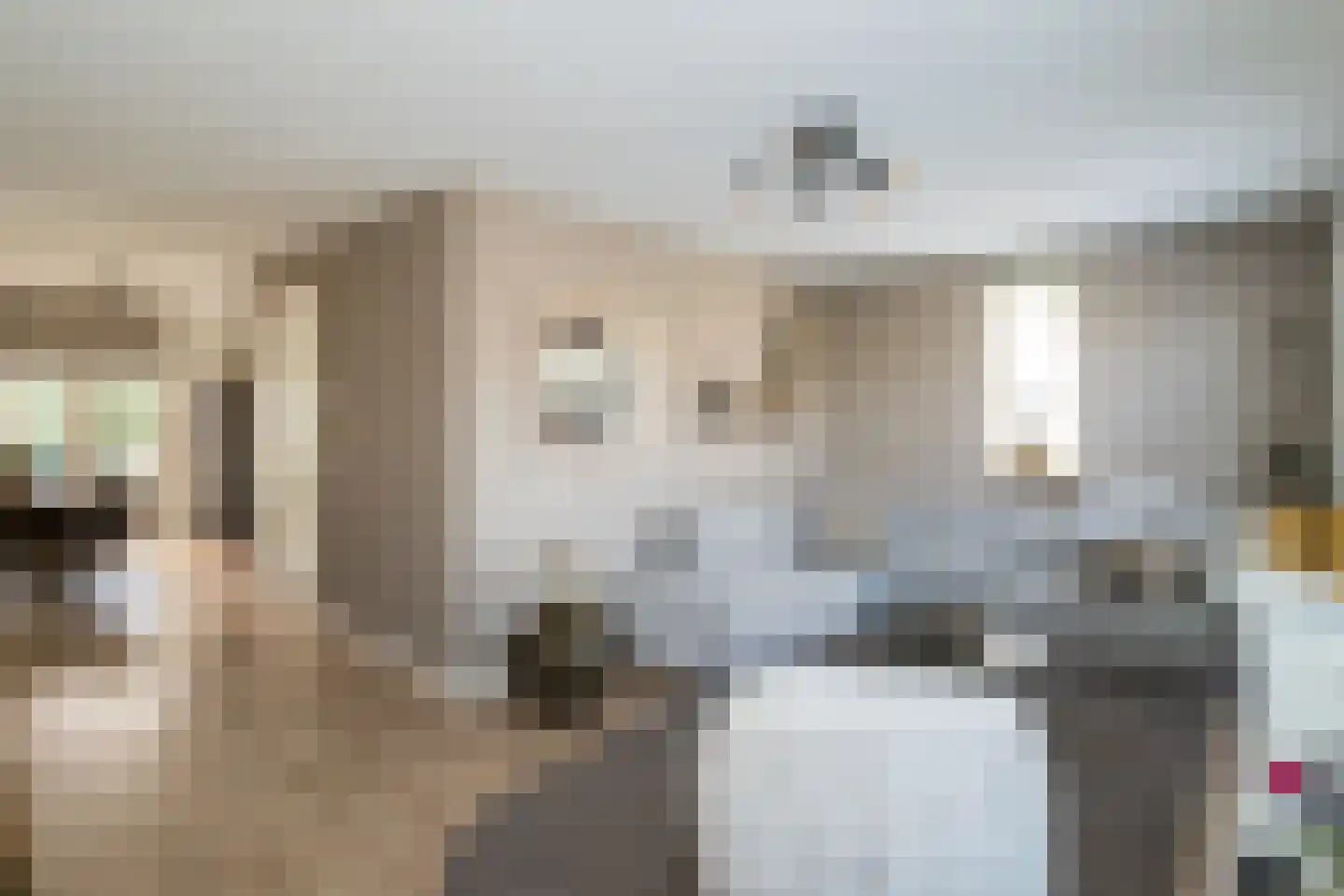 Buitenbos 1 Meteren thumbnail 15