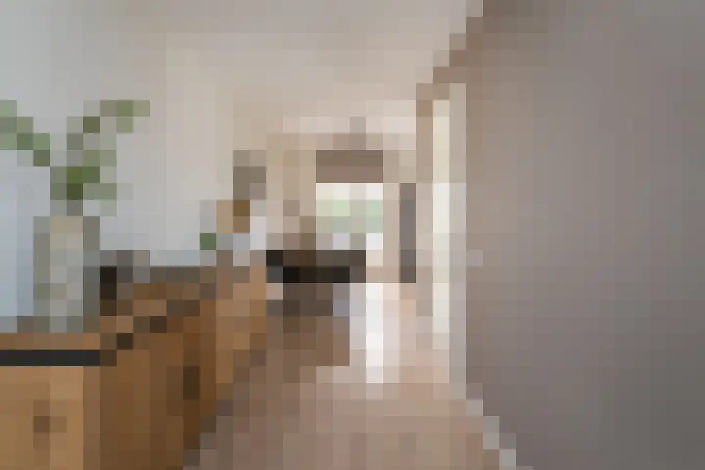 Buitenbos 1 Meteren thumbnail 17