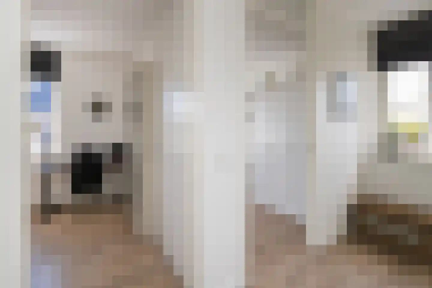 Buitenbos 1 Meteren thumbnail 23