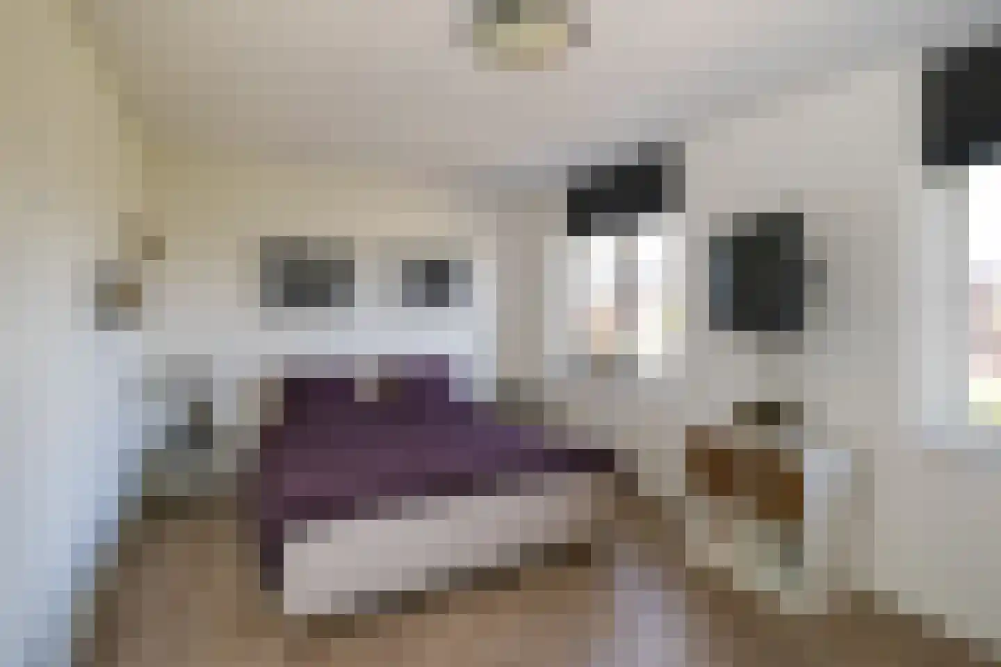 Buitenbos 1 Meteren thumbnail 24