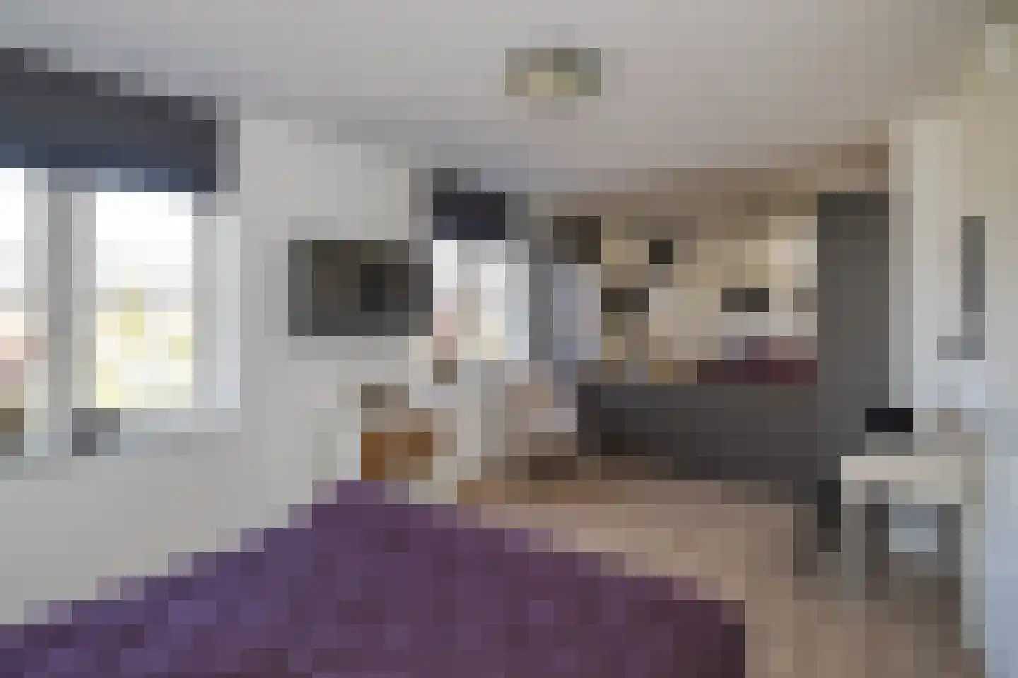 Buitenbos 1 Meteren thumbnail 25
