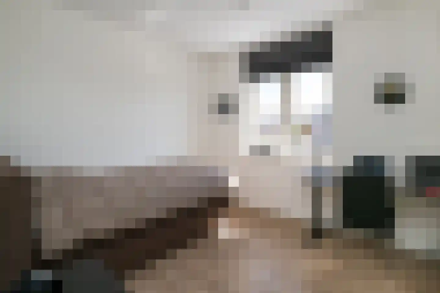 Buitenbos 1 Meteren thumbnail 26
