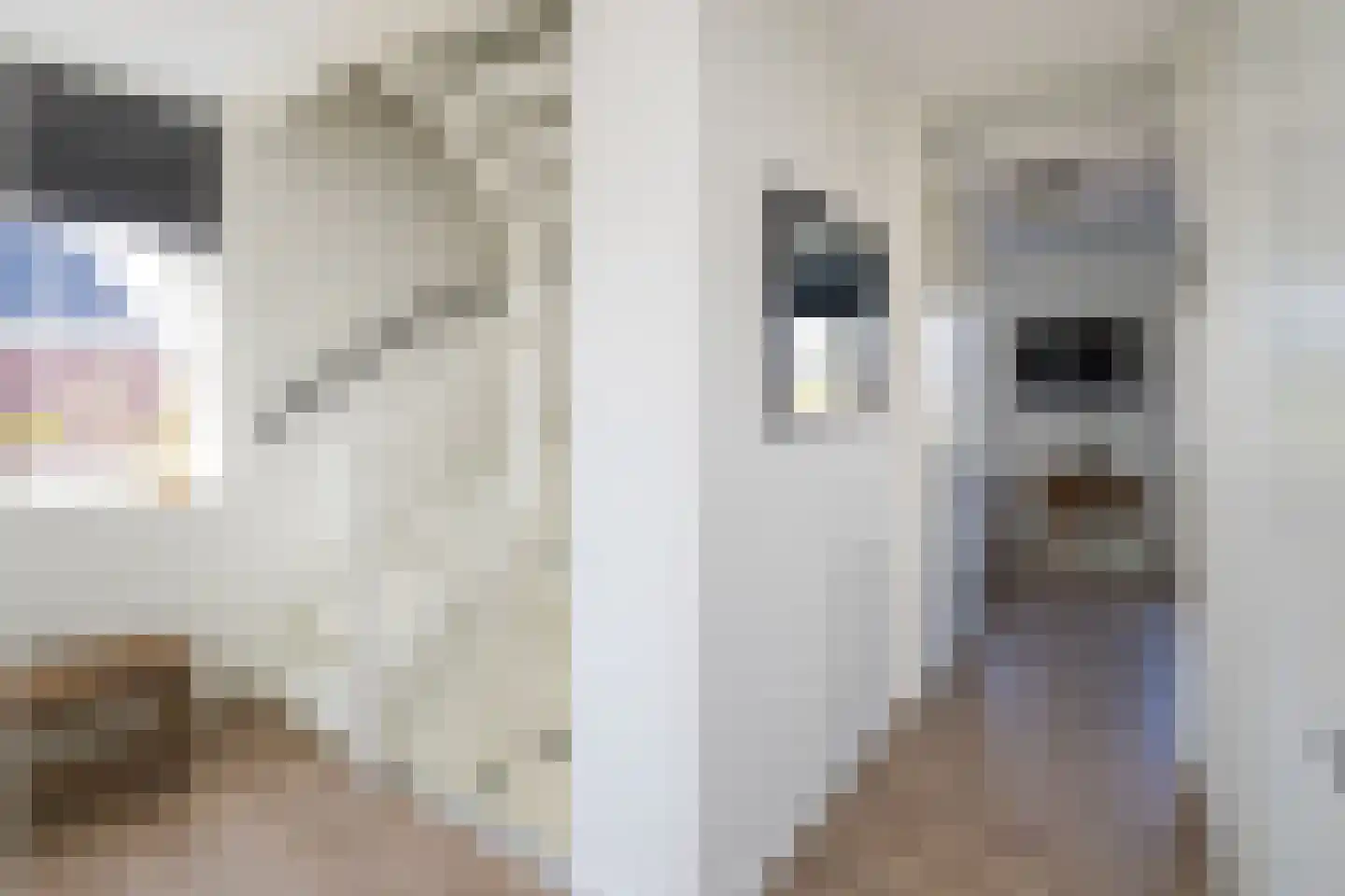 Buitenbos 1 Meteren thumbnail 31