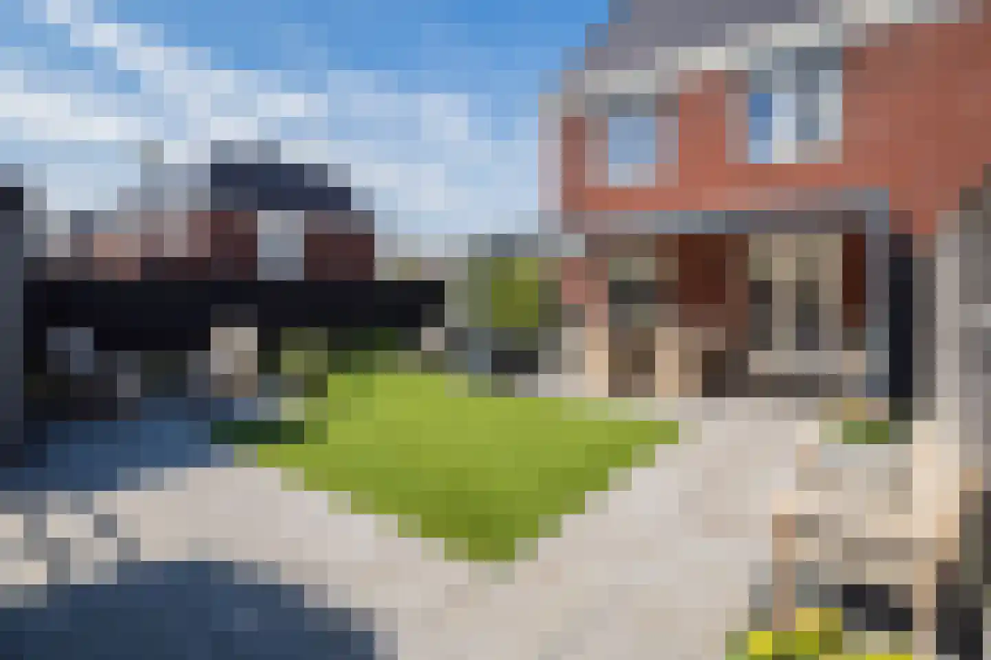Buitenbos 1 Meteren thumbnail 37