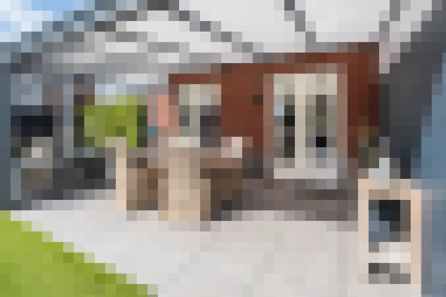 Buitenbos 1 Meteren thumbnail 38