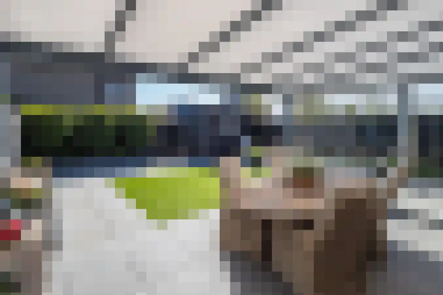 Buitenbos 1 Meteren thumbnail 39