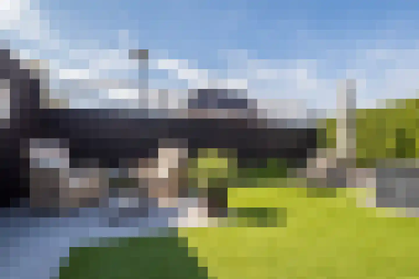 Buitenbos 1 Meteren thumbnail 40