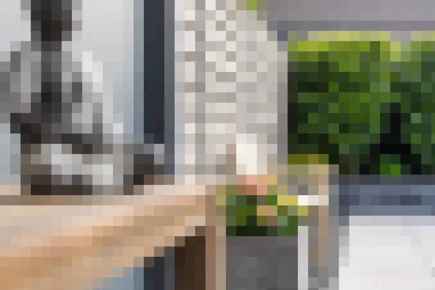 Buitenbos 1 Meteren thumbnail 41