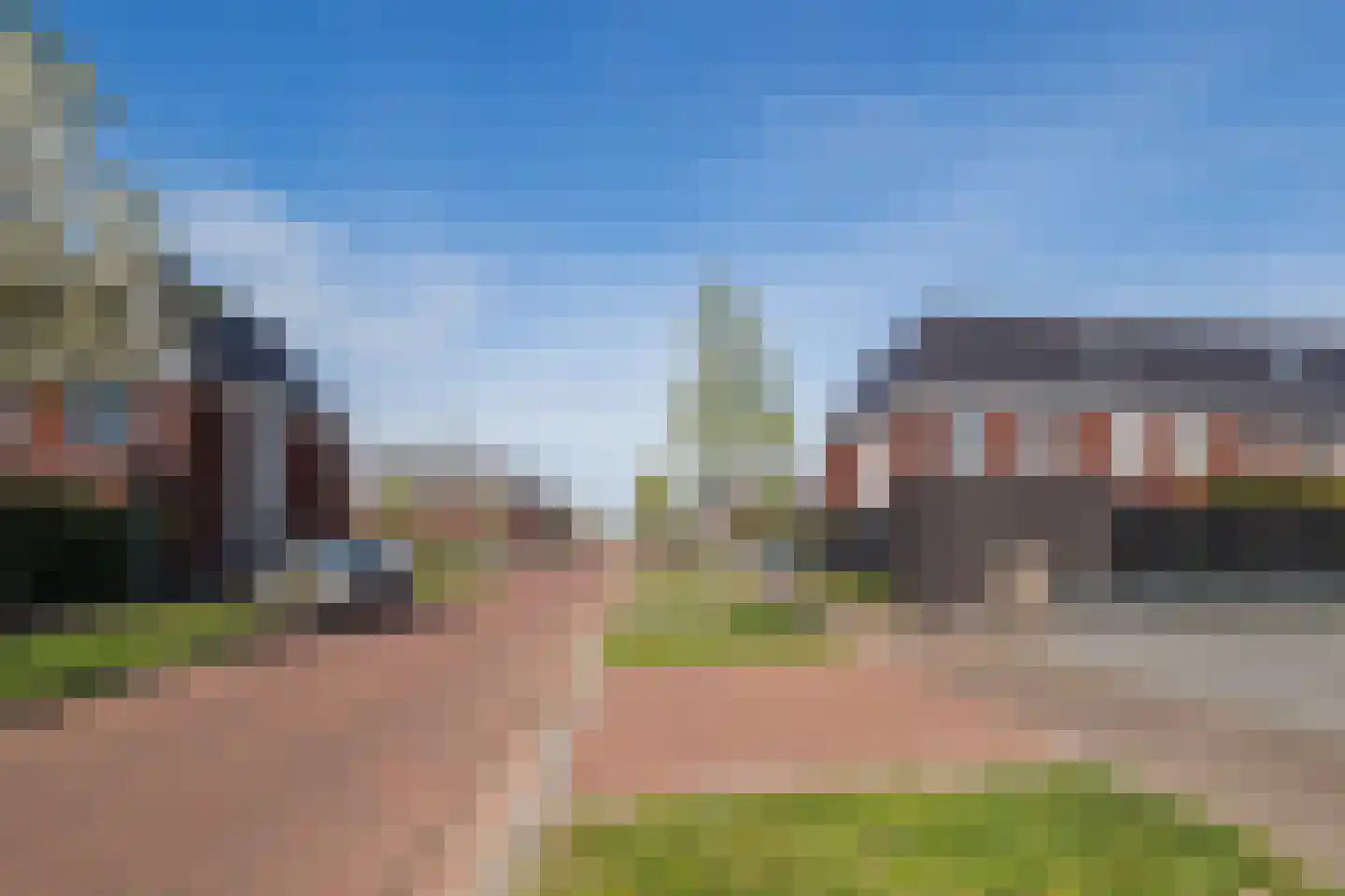 Buitenbos 1 Meteren thumbnail 44