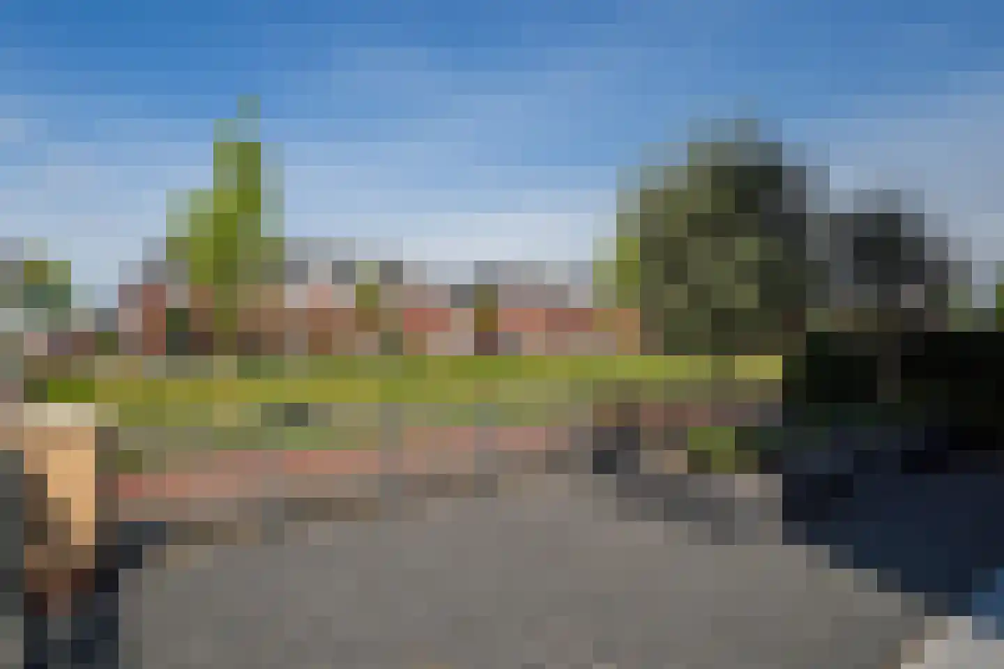 Buitenbos 1 Meteren thumbnail 46