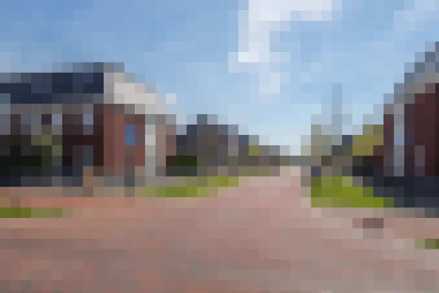 Buitenbos 1 Meteren thumbnail 47