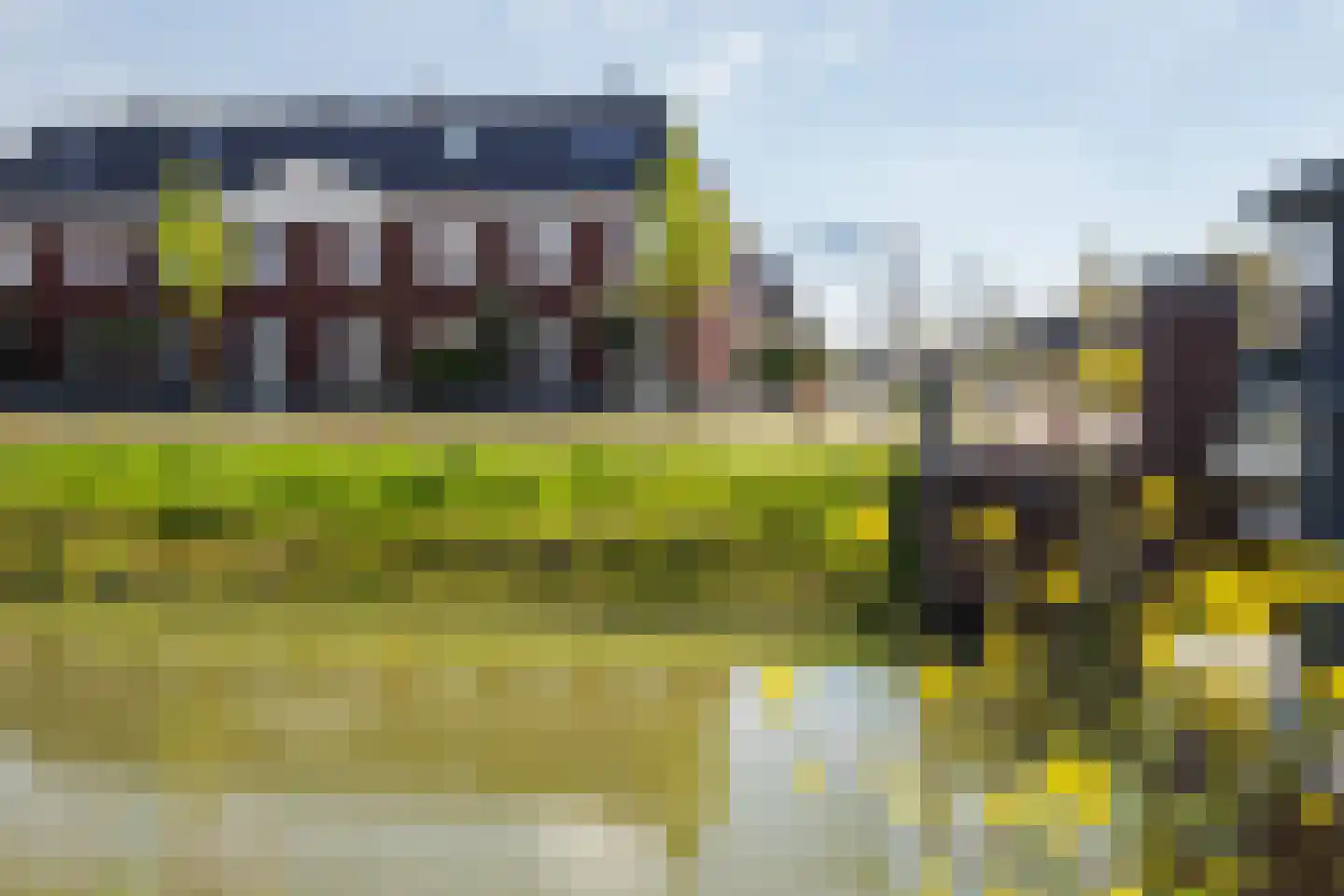 Buitenbos 1 Meteren thumbnail 48