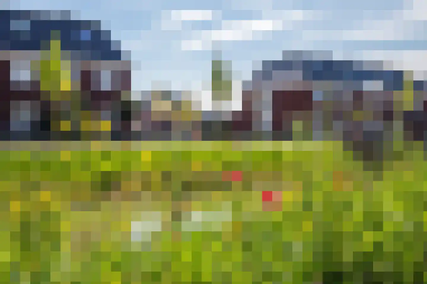 Buitenbos 1 Meteren thumbnail 49