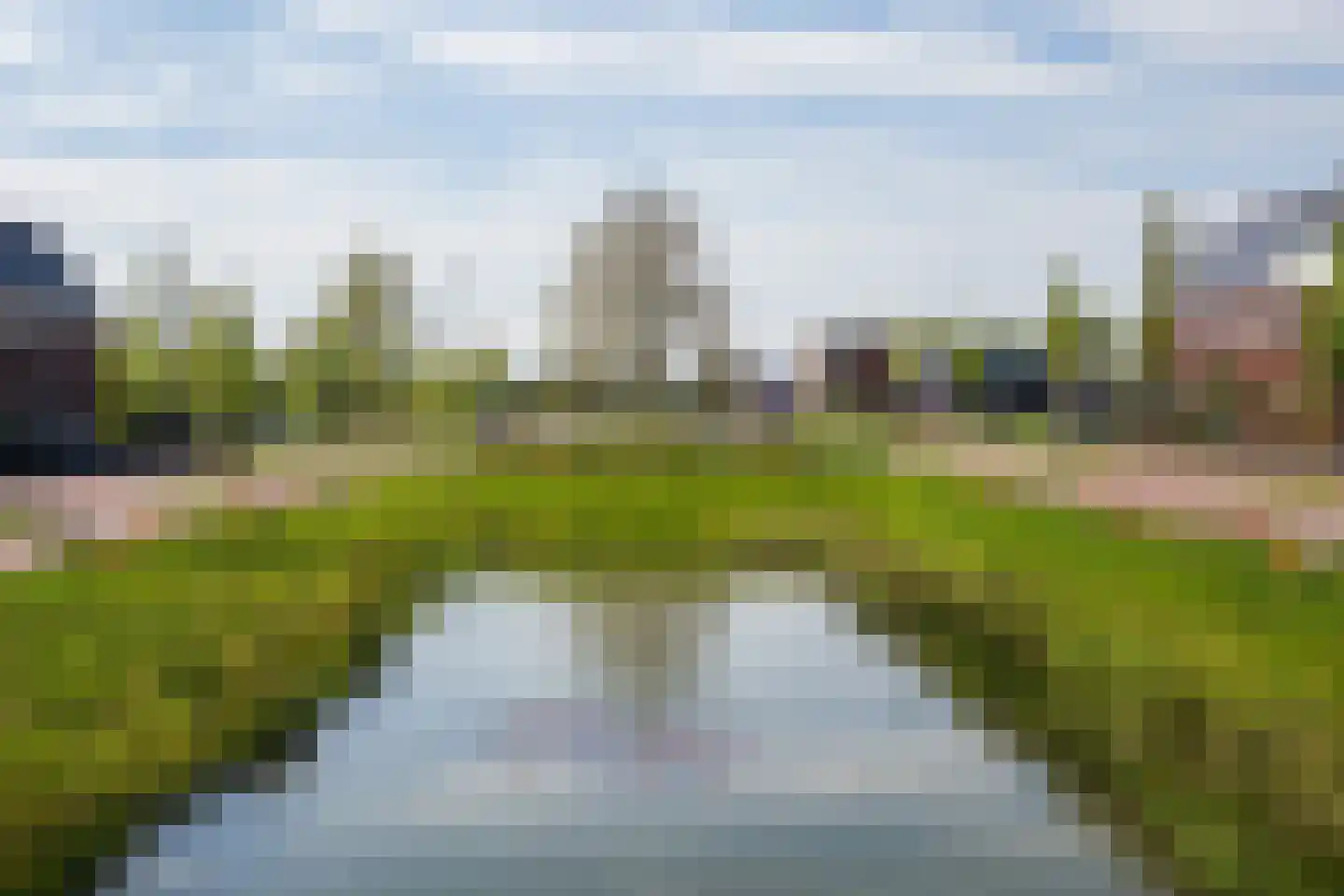 Buitenbos 1 Meteren thumbnail 50