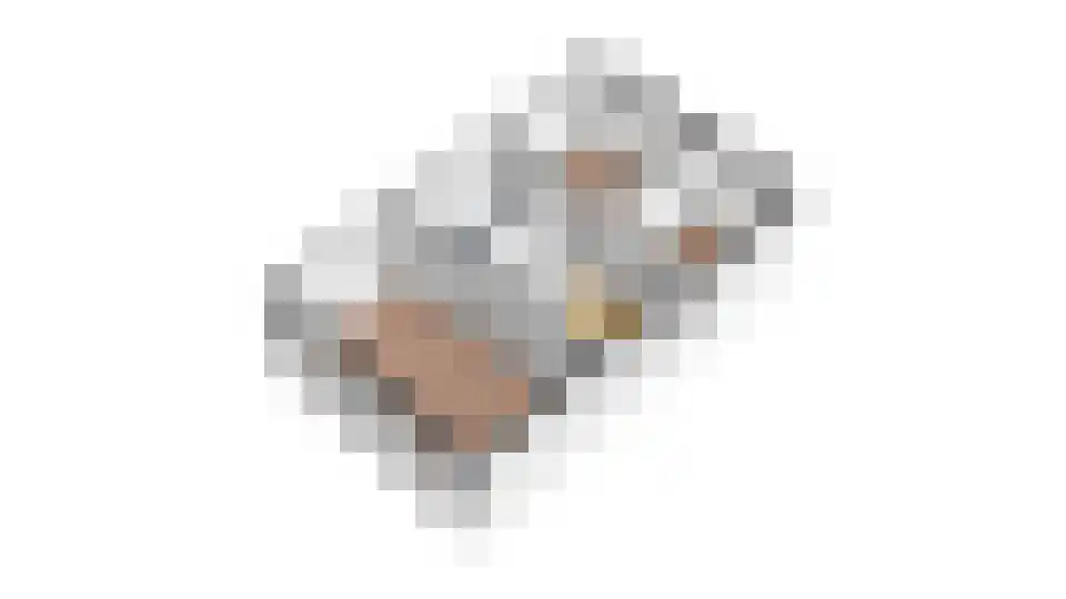 Buitenbos 1 Meteren thumbnail 54
