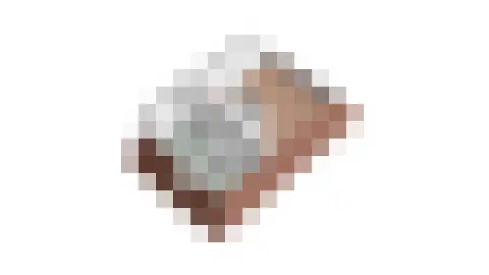 Buitenbos 1 Meteren thumbnail 56