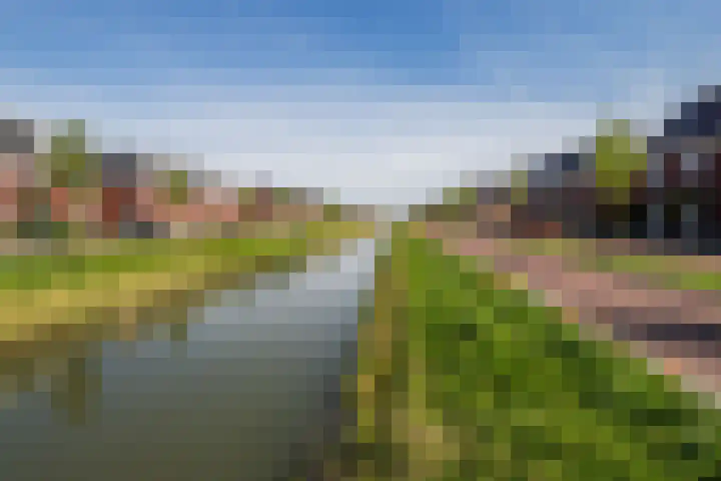 Buitenbos 1 Meteren thumbnail 6