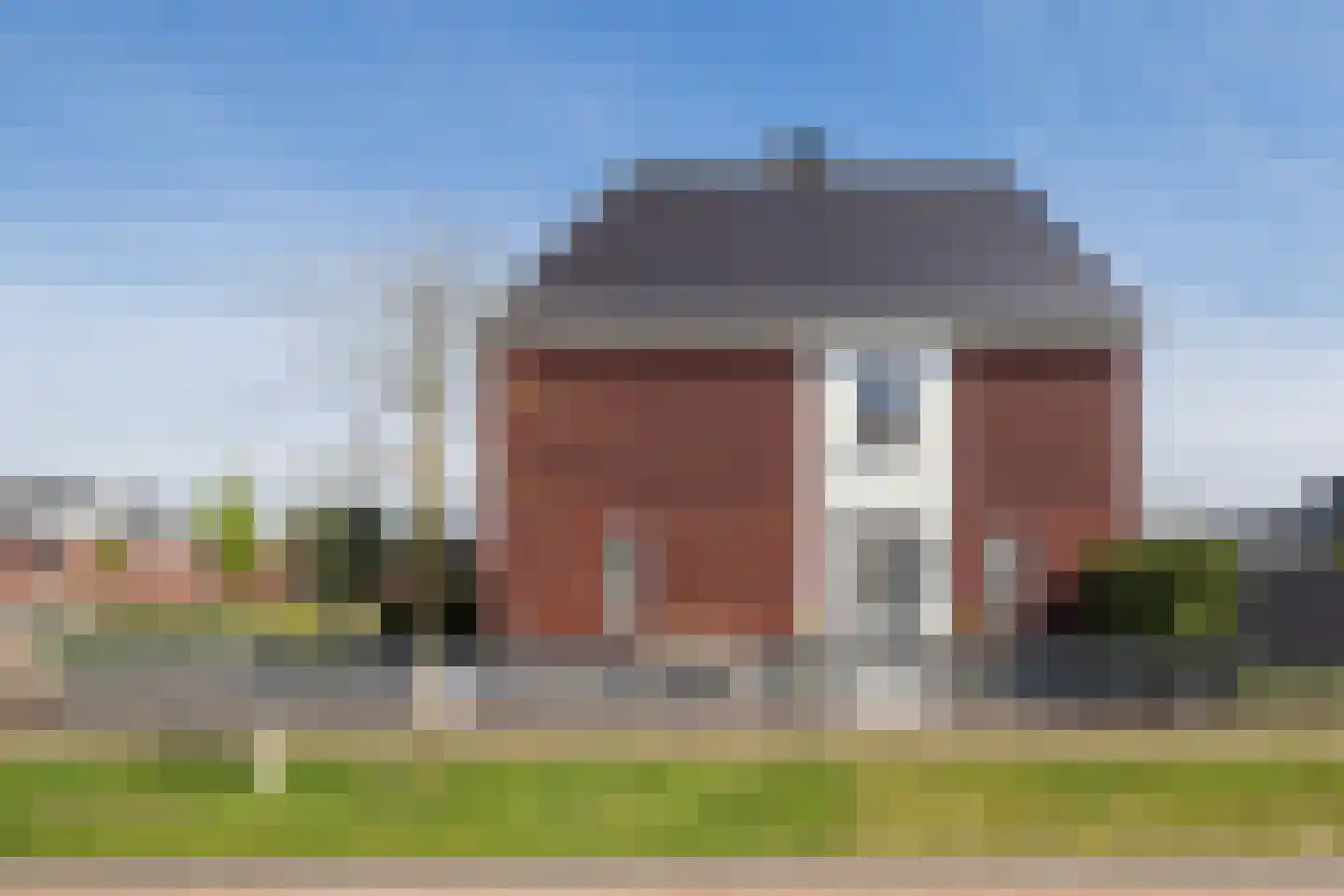 Buitenbos 1 Meteren thumbnail 9